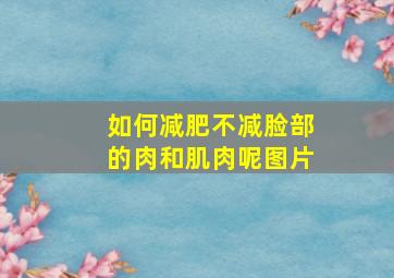 如何减肥不减脸部的肉和肌肉呢图片