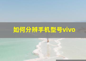 如何分辨手机型号vivo