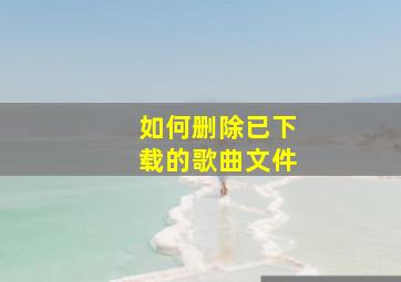 如何删除已下载的歌曲文件