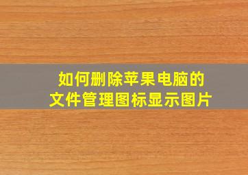 如何删除苹果电脑的文件管理图标显示图片