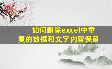 如何删除excel中重复的数据和文字内容保留