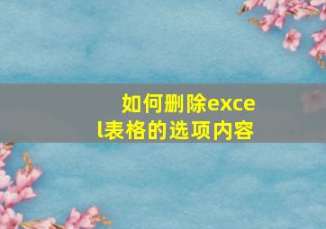 如何删除excel表格的选项内容