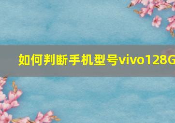 如何判断手机型号vivo128G