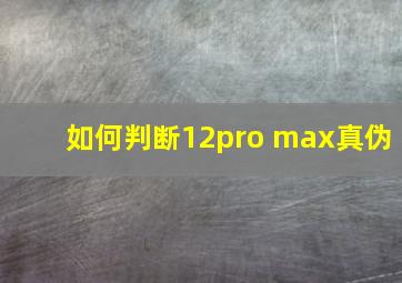 如何判断12pro max真伪