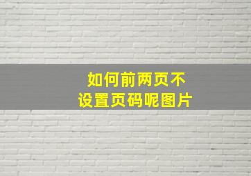 如何前两页不设置页码呢图片