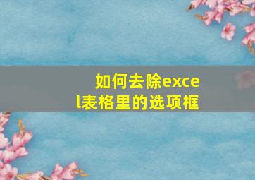 如何去除excel表格里的选项框