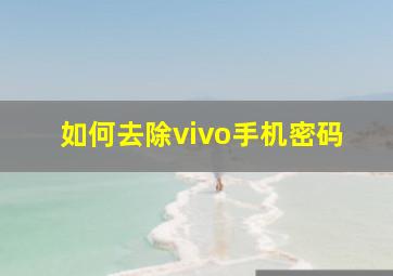 如何去除vivo手机密码