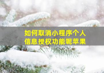 如何取消小程序个人信息授权功能呢苹果