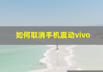 如何取消手机震动vivo