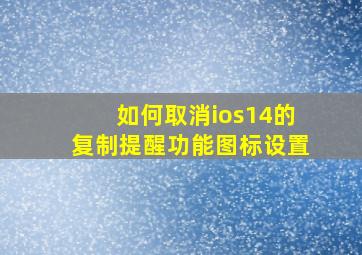 如何取消ios14的复制提醒功能图标设置