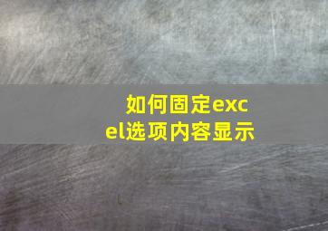 如何固定excel选项内容显示