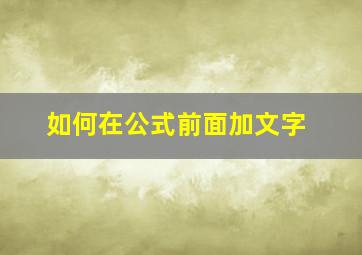 如何在公式前面加文字