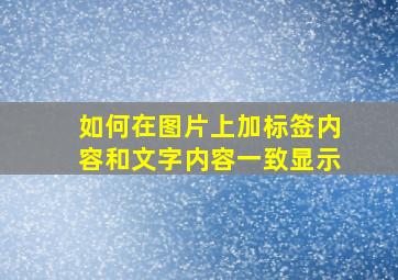 如何在图片上加标签内容和文字内容一致显示