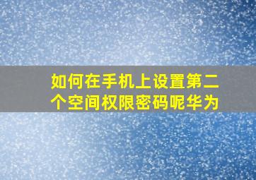 如何在手机上设置第二个空间权限密码呢华为