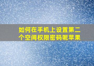 如何在手机上设置第二个空间权限密码呢苹果