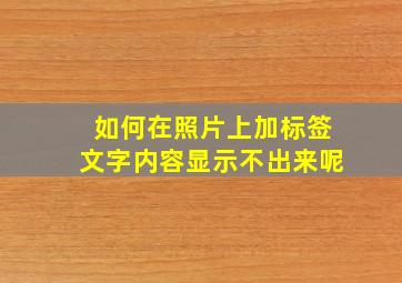 如何在照片上加标签文字内容显示不出来呢