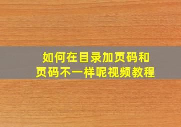 如何在目录加页码和页码不一样呢视频教程