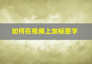 如何在视频上加标签字