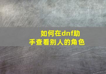 如何在dnf助手查看别人的角色