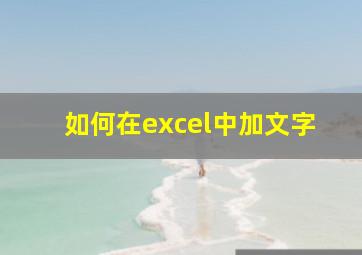 如何在excel中加文字