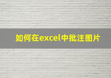 如何在excel中批注图片