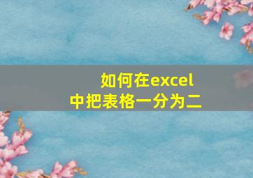 如何在excel中把表格一分为二