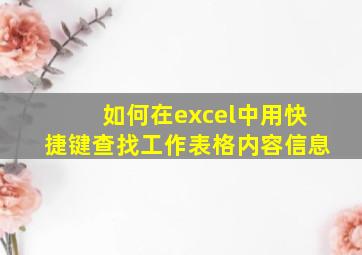 如何在excel中用快捷键查找工作表格内容信息