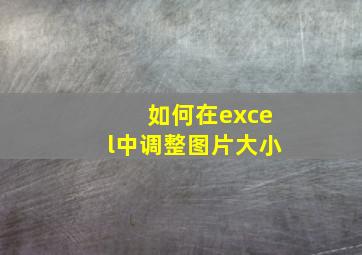 如何在excel中调整图片大小