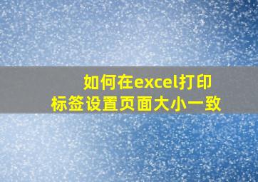 如何在excel打印标签设置页面大小一致