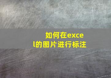 如何在excel的图片进行标注