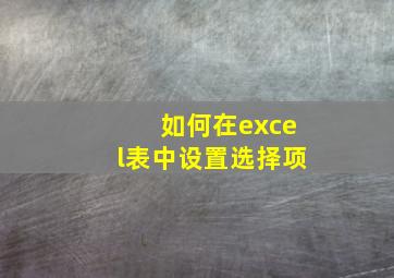 如何在excel表中设置选择项