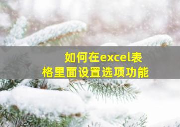 如何在excel表格里面设置选项功能