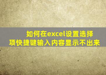 如何在excel设置选择项快捷键输入内容显示不出来