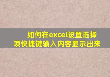 如何在excel设置选择项快捷键输入内容显示出来