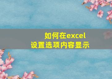 如何在excel设置选项内容显示