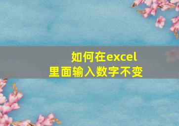 如何在excel里面输入数字不变