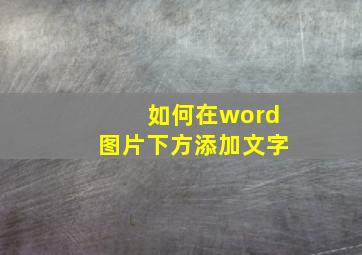 如何在word图片下方添加文字