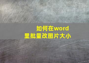 如何在word里批量改图片大小