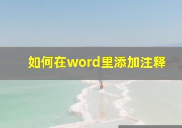 如何在word里添加注释