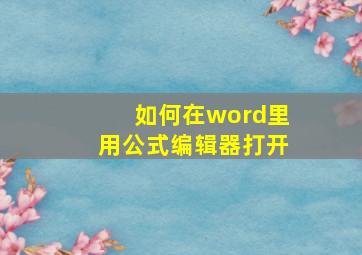 如何在word里用公式编辑器打开