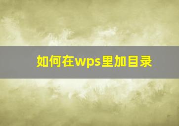 如何在wps里加目录