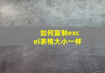 如何复制excel表格大小一样