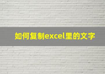 如何复制excel里的文字