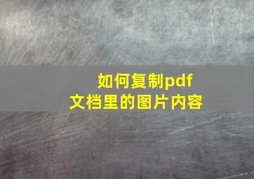 如何复制pdf文档里的图片内容