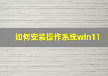 如何安装操作系统win11