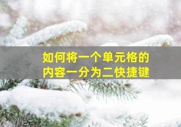 如何将一个单元格的内容一分为二快捷键