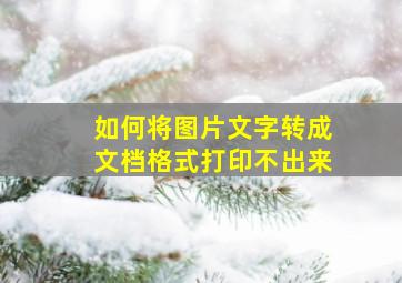 如何将图片文字转成文档格式打印不出来