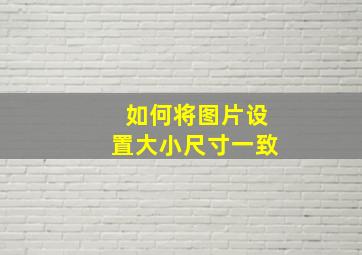 如何将图片设置大小尺寸一致