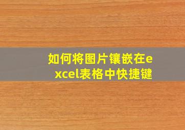 如何将图片镶嵌在excel表格中快捷键