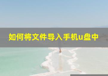 如何将文件导入手机u盘中